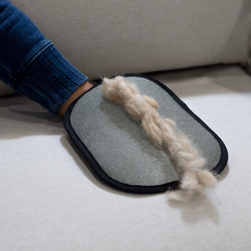 Gants de nettoyage pour poils d'animaux