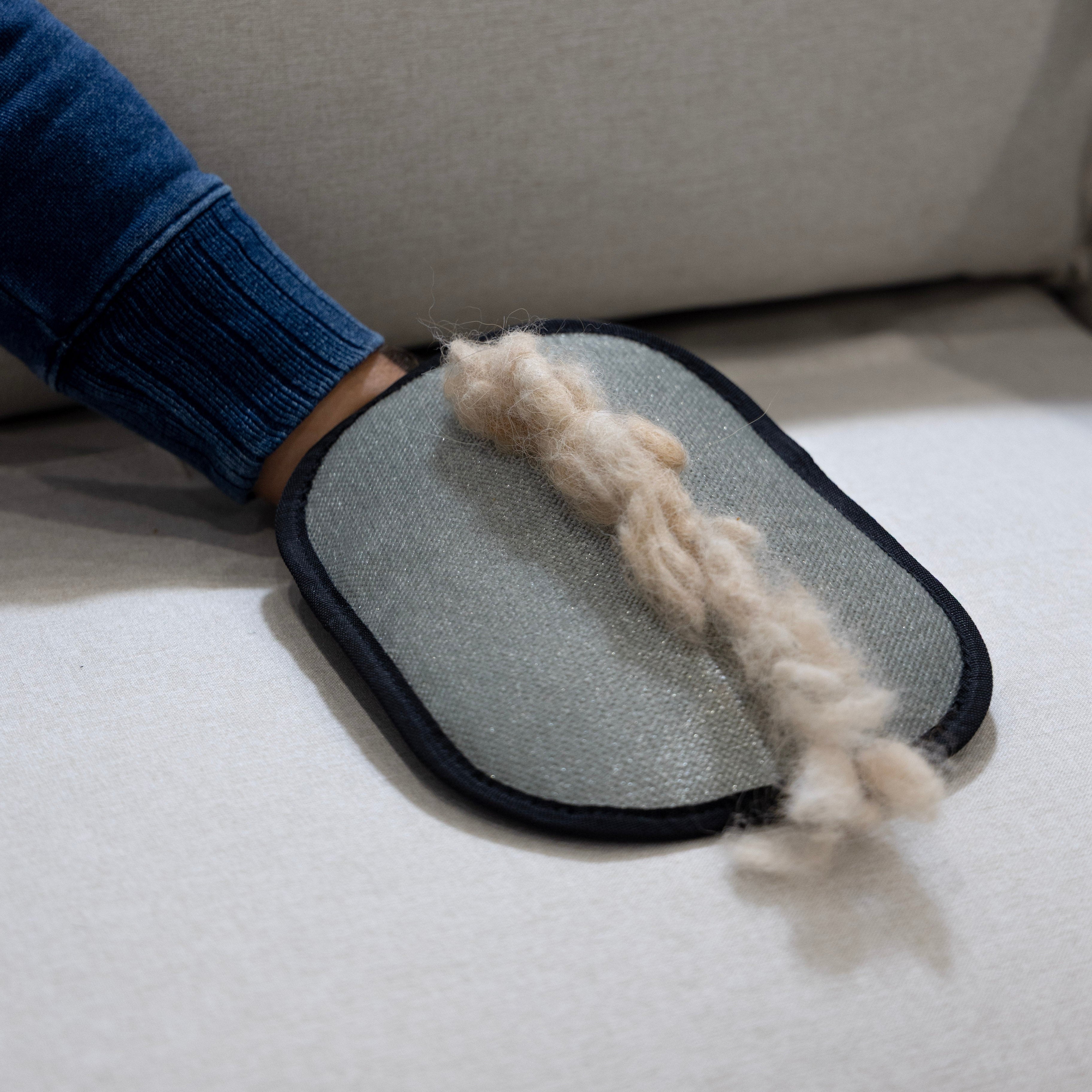 Gants de nettoyage pour poils d'animaux